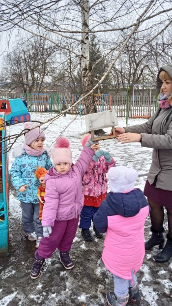 Акция"Покормите птиц зимой".